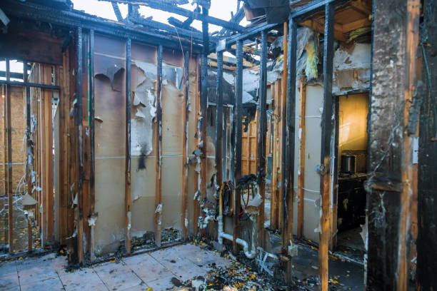 Professional Smoke Damage Removal technician working in Bay Pines, FL