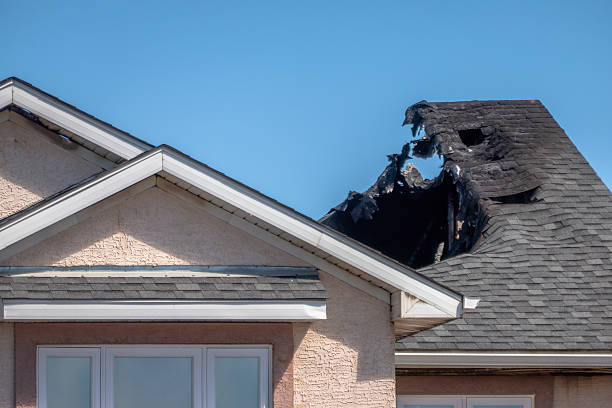 Top rated local Smoke Damage Removal specialists in Bay Pines, FL